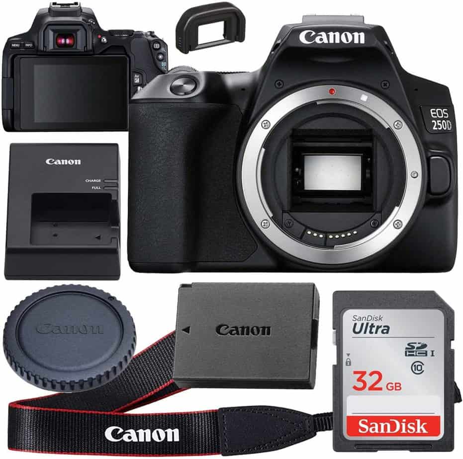 Canon Rebel for beginner Photographer and moms 